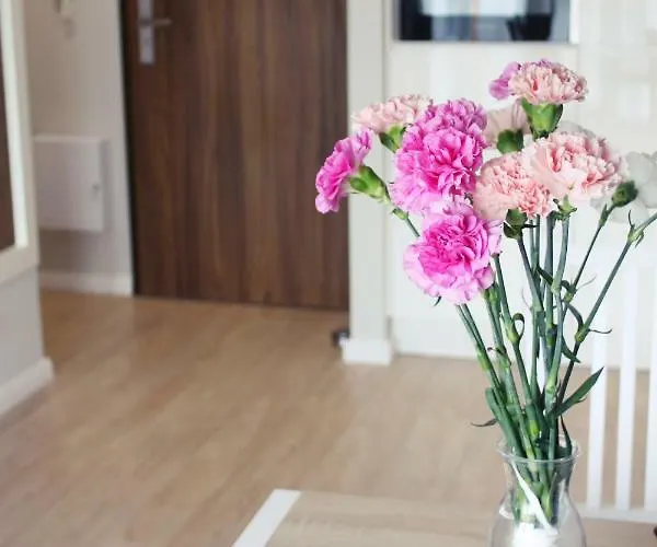 Apartmán Sloneczne *